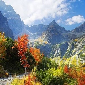 Meet your Posher, Vicki